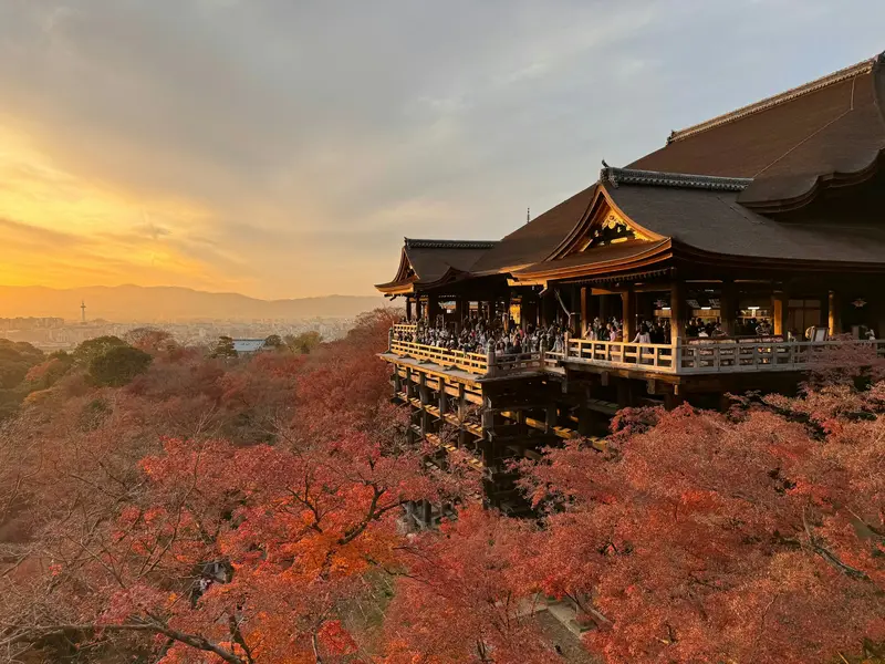 A pagoda on a hillside in Kyoto, above trees turning red and gold